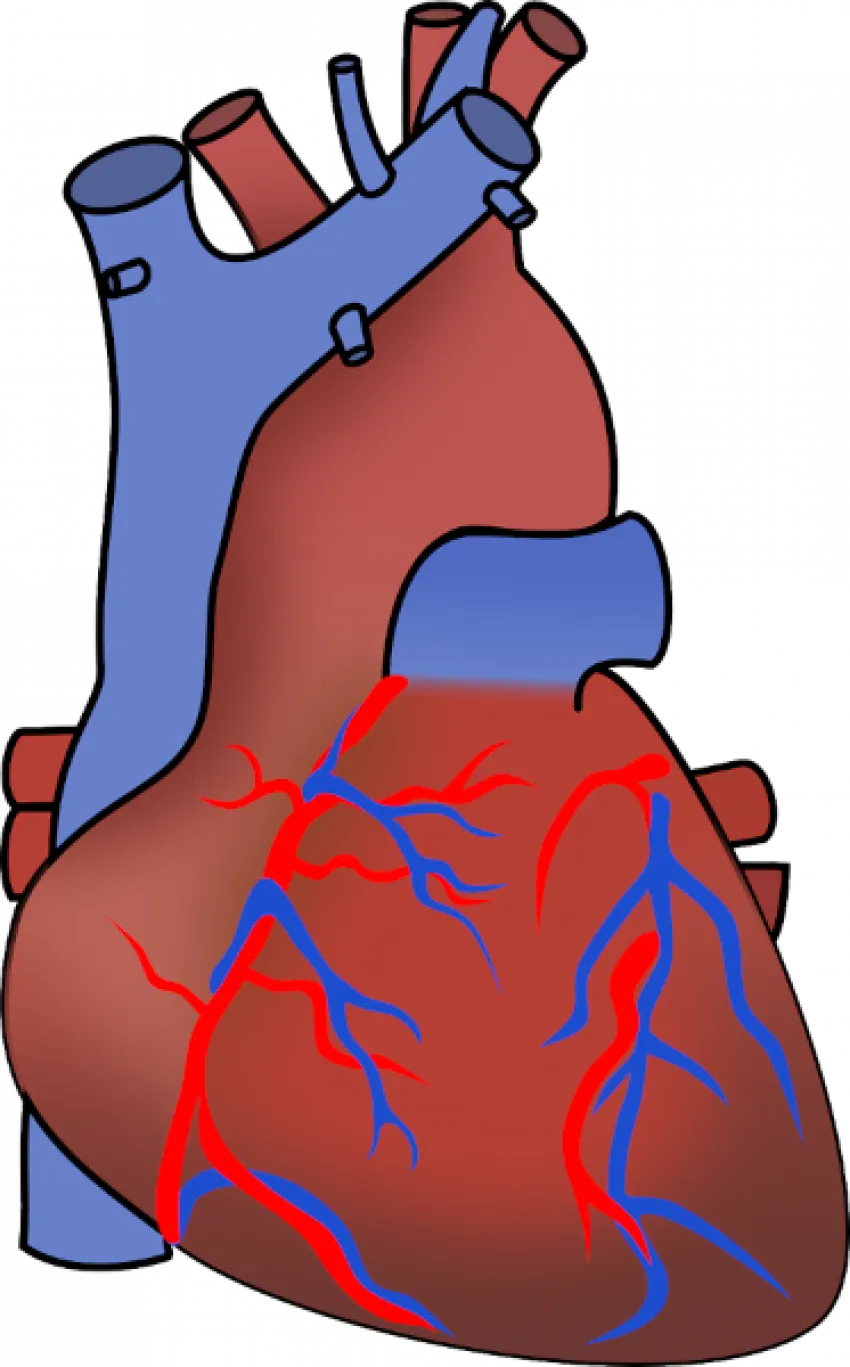 IL MONZINO DI MILANO IN PARTNERSHIP CON C.M.S.R. PER LA DIAGNOSTICA CARDIOVASCOLARE