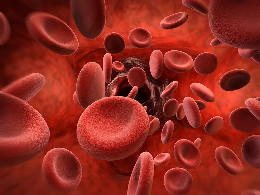 Ematologia: emocromo sotto controllo