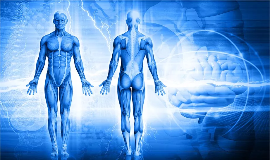 Cos’è la posturologia